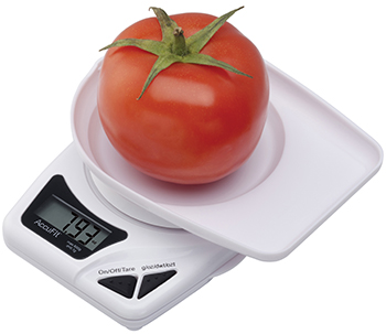 AccuFit Food Scales